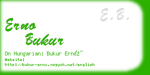 erno bukur business card